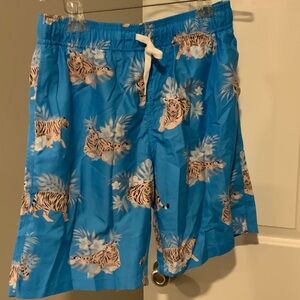 Blue Tiger Print Men's Shorts